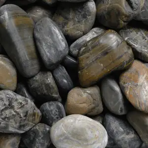High Polish Gold Tiger Stripe — pebbles & exotic stones