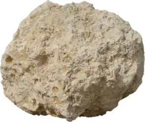 Miami Coral — boulders