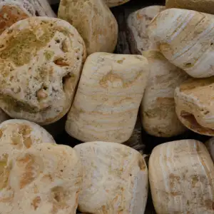 Tucson West — pebbles & exotic stones